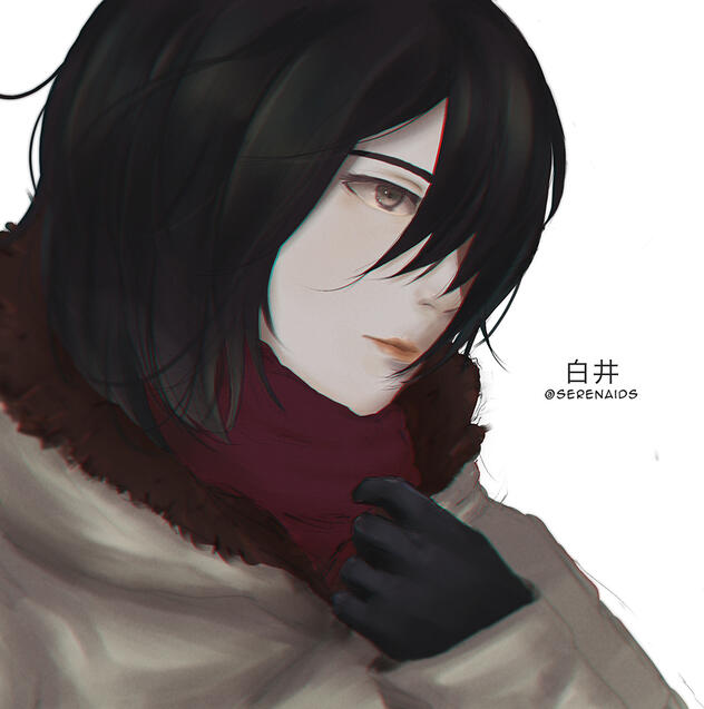 Mikasa Ackerman Fanart