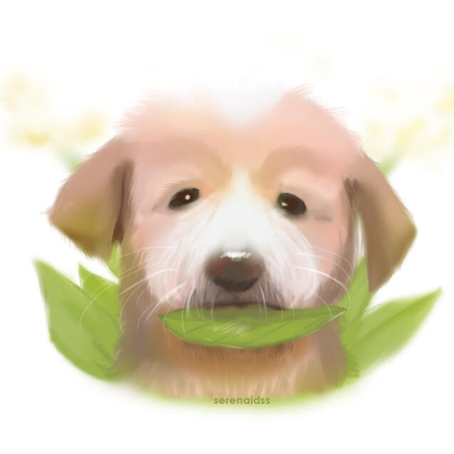 A paintin of my late dog